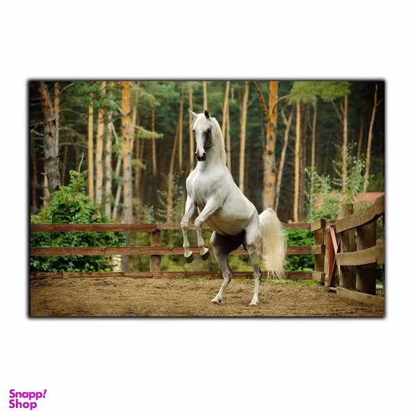 تابلو شاسی بکلیت طرح پرش اسب مدل SH-7523