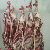 گوشت گوسفندی (میش)