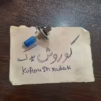 لامپ چراغ جلو دو فیش h7 اچ سون صد 100 وات یخی برند عقاب eaglite کره ای  