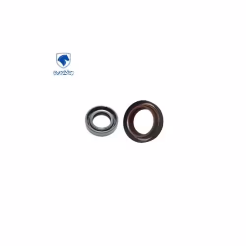 کاسه نمد پلوس سمند