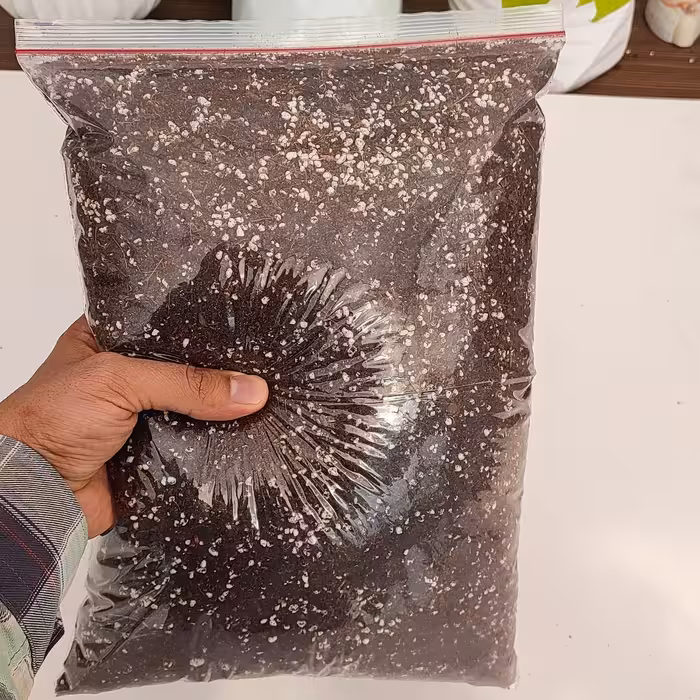 خاک مخصوص  گیاهان آپارتمانی بسته بندی یک کیلوگرمی