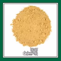 زنجبیل پودر اعلا سبزین (500 گرمی)