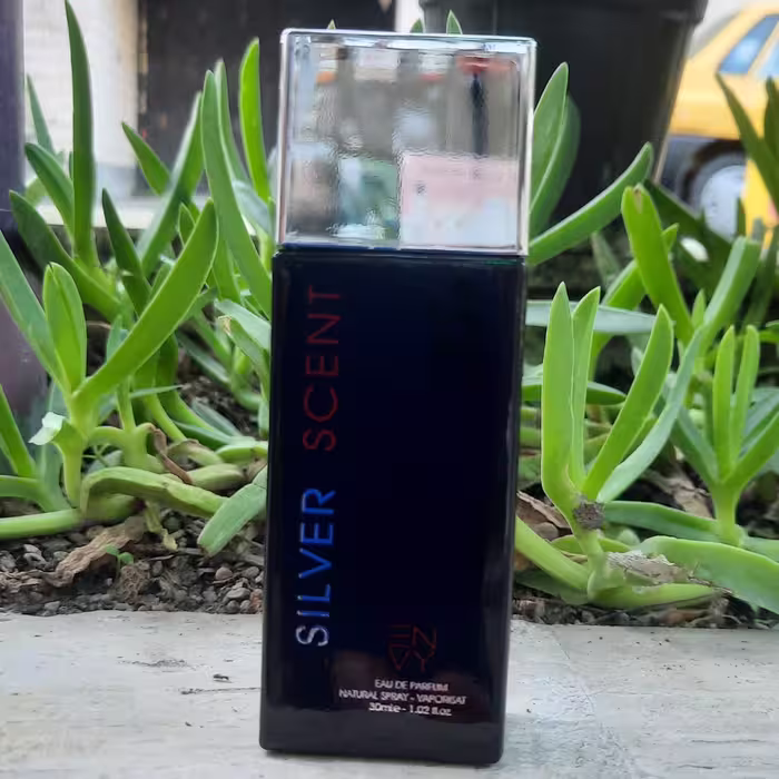 ادکلن SILVER SCENT(30میلی لیتری) مردانه