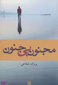 کتاب مجنون بی جنون اثر پروانه شفاعی انتشارات شادان