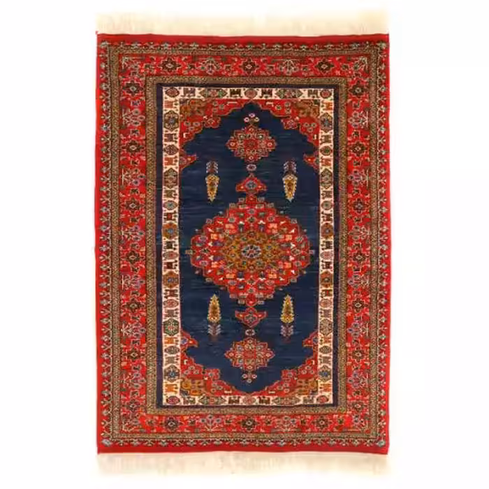 فرش دستبافت دومتری طرح عشایری کد 141117(فروش چکی 6 ماهه با کد تخفیف farshgereh)