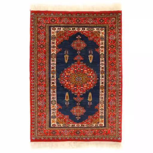 فرش دستبافت دومتری طرح عشایری کد 141117(فروش چکی 6 ماهه با کد تخفیف farshgereh)