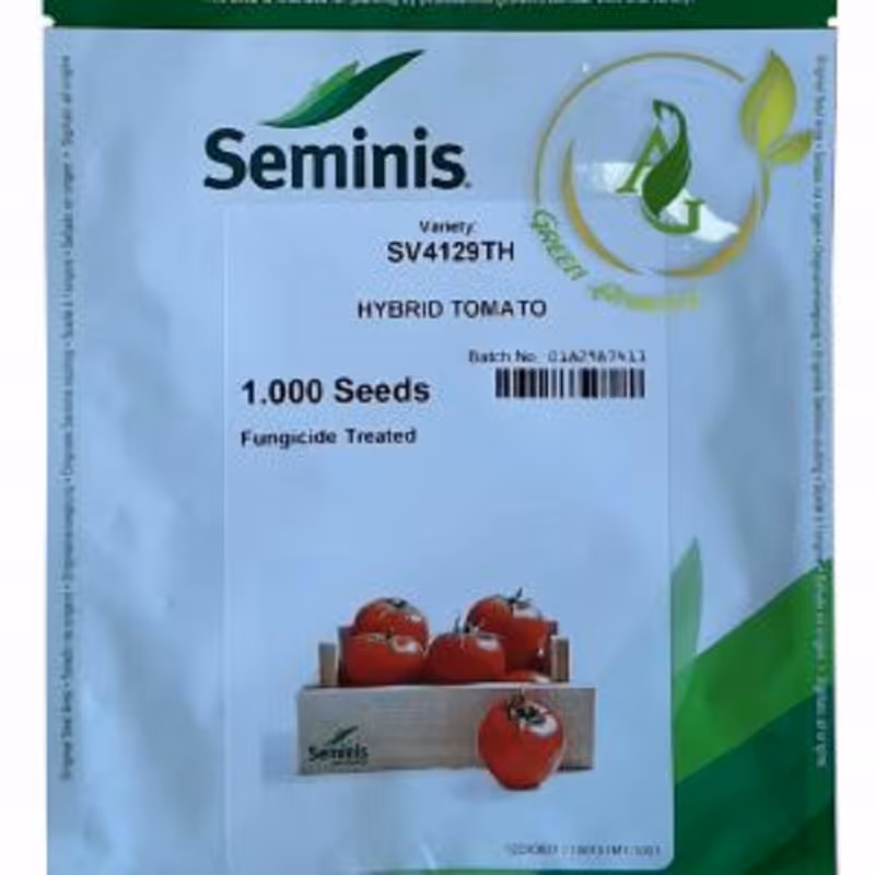 بذر گوجه مدل 4129 برند سمینس پاکت حاوی 1000 عدد
