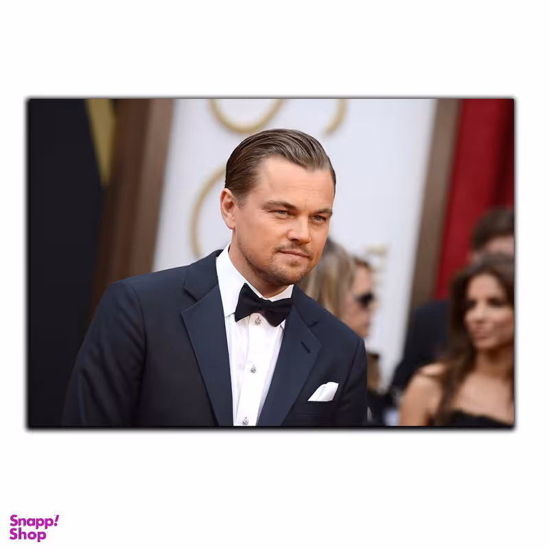 تابلو شاسی بکلیت طرح بازیگر مرد لئوناردو دیکاپریو مدل SH-6286