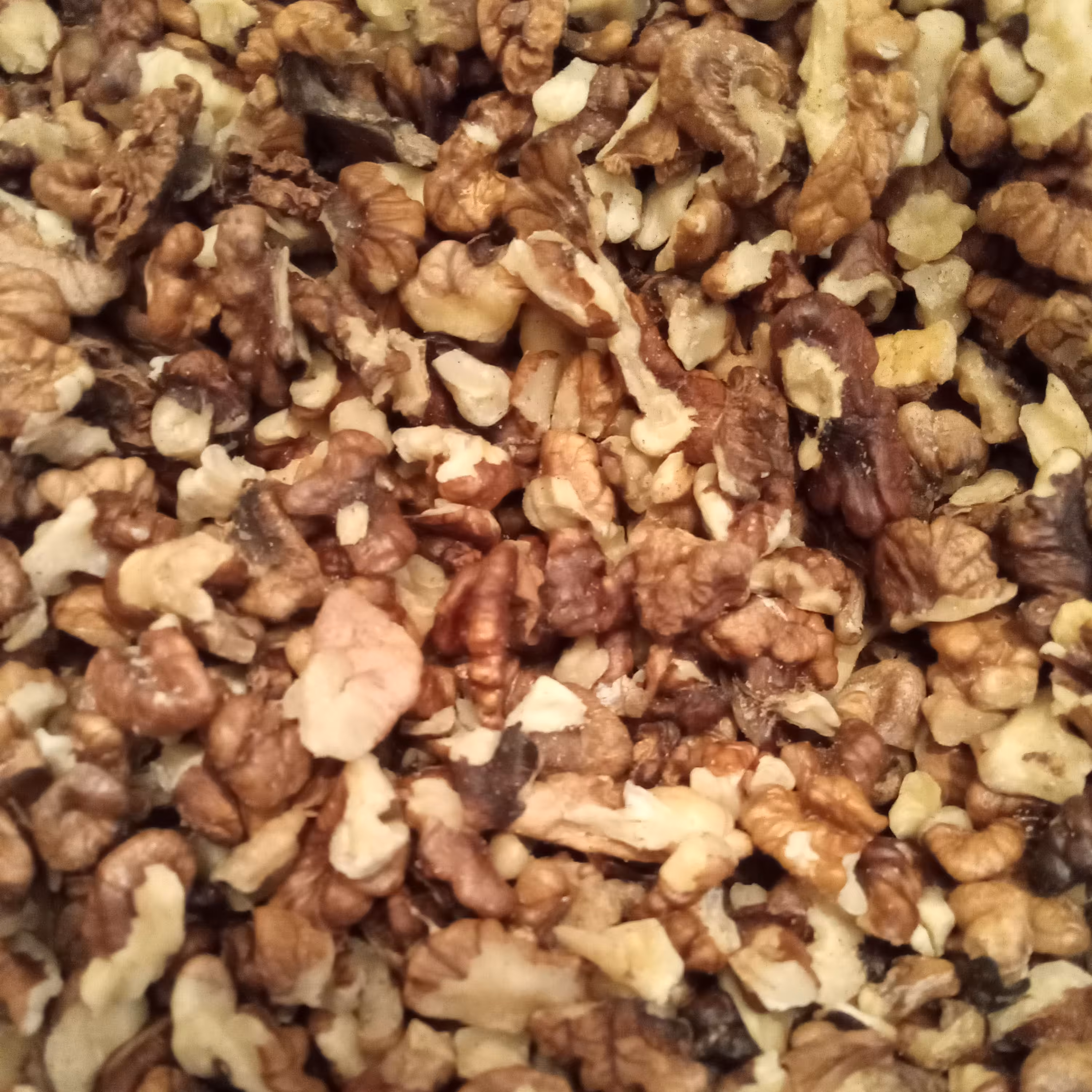 مغز گردو شکسته مراغه تازه و امسالی مغز گردو دندانه