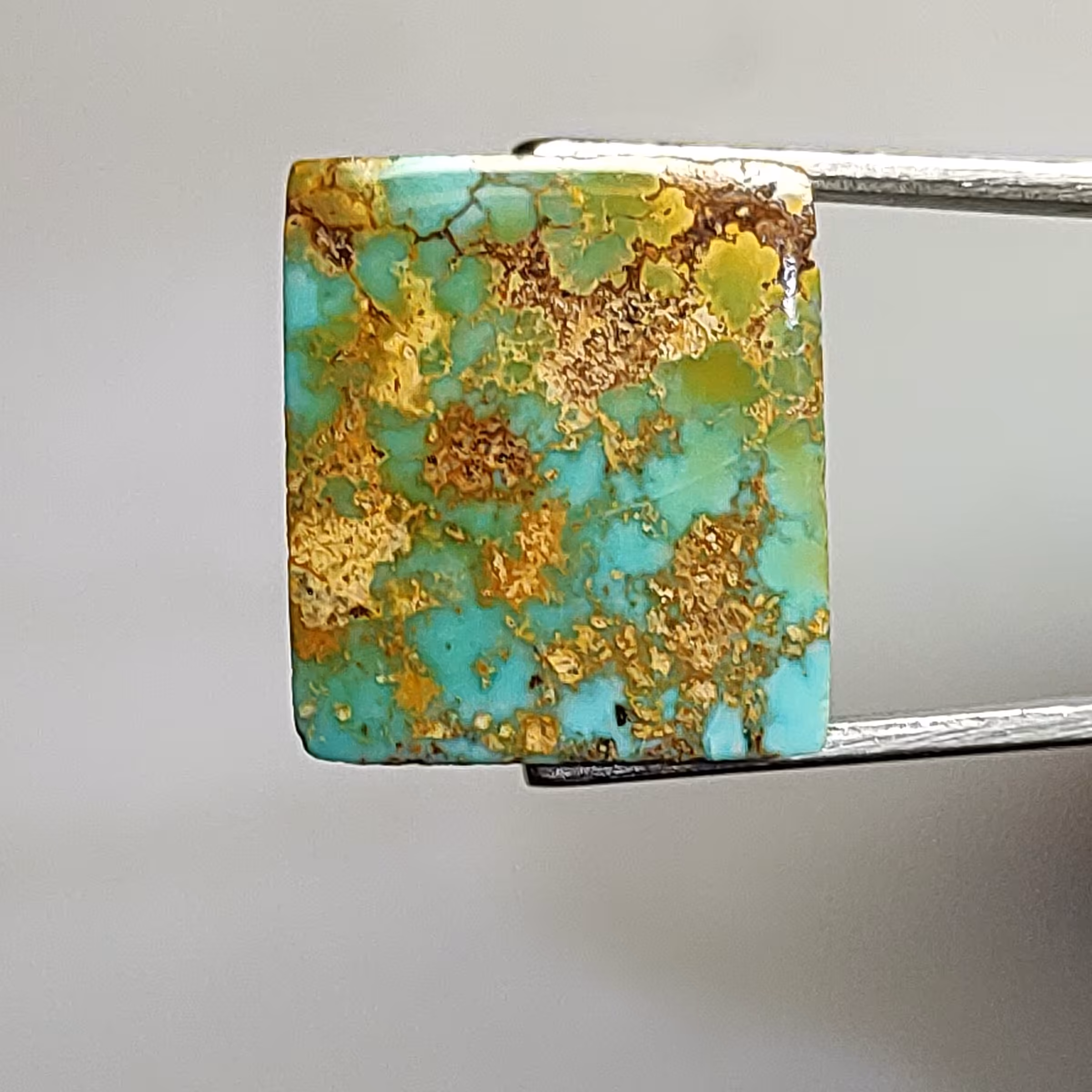 فیروزه نیشابور معدن نیشابور شجر دار عنکبوتی بدون احیا