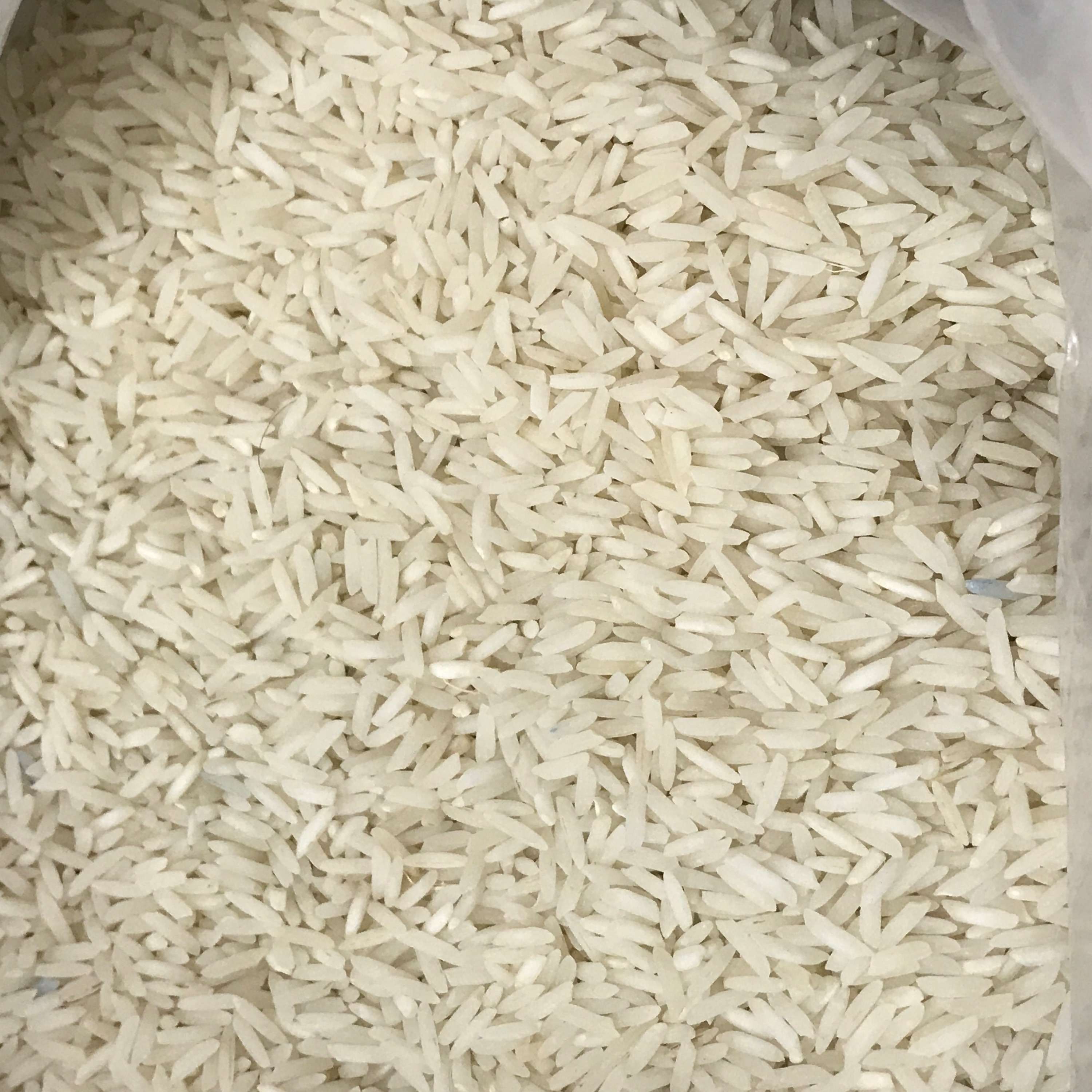 برنج طارم محلی که سه بار الک و سورت شده در کیسه های ده کیلویی و ارسال رایگان درب
