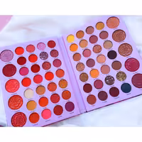 پالت سایه و هایلایتر بزرگ 66 رنگ rose love