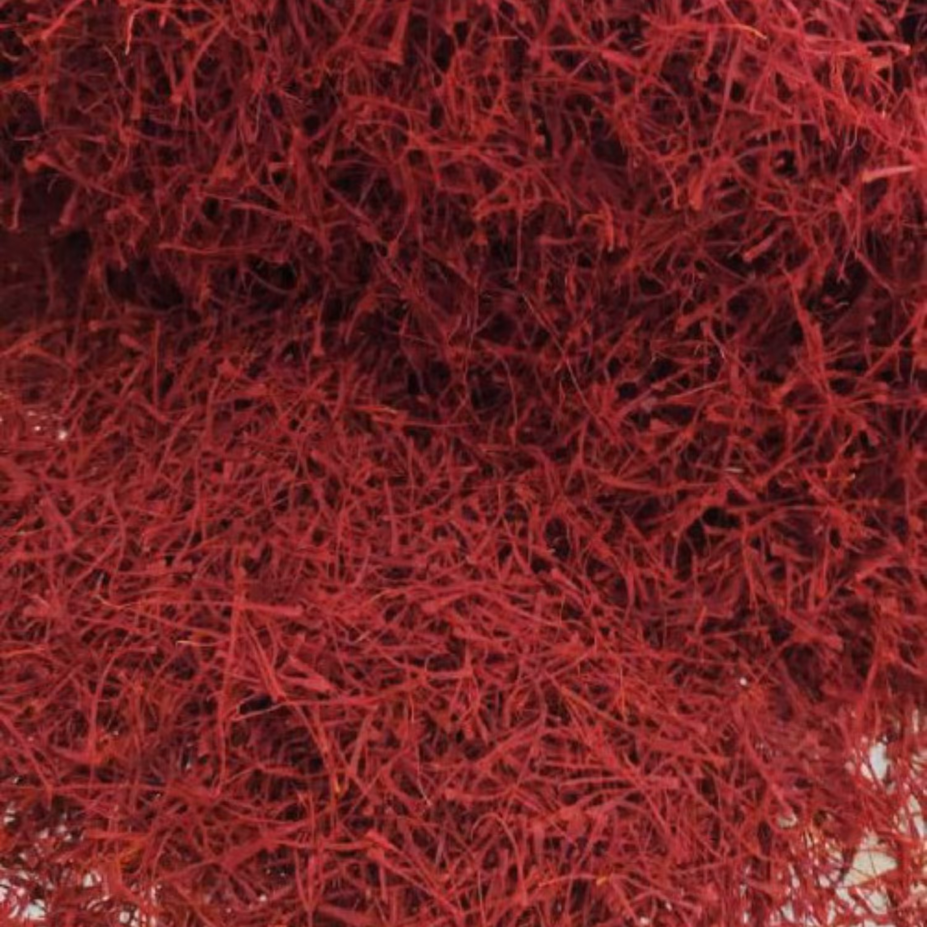 زعفران نگین محلی با تضمین کیفیت فروش عمده هر مثقال 162000 تومان