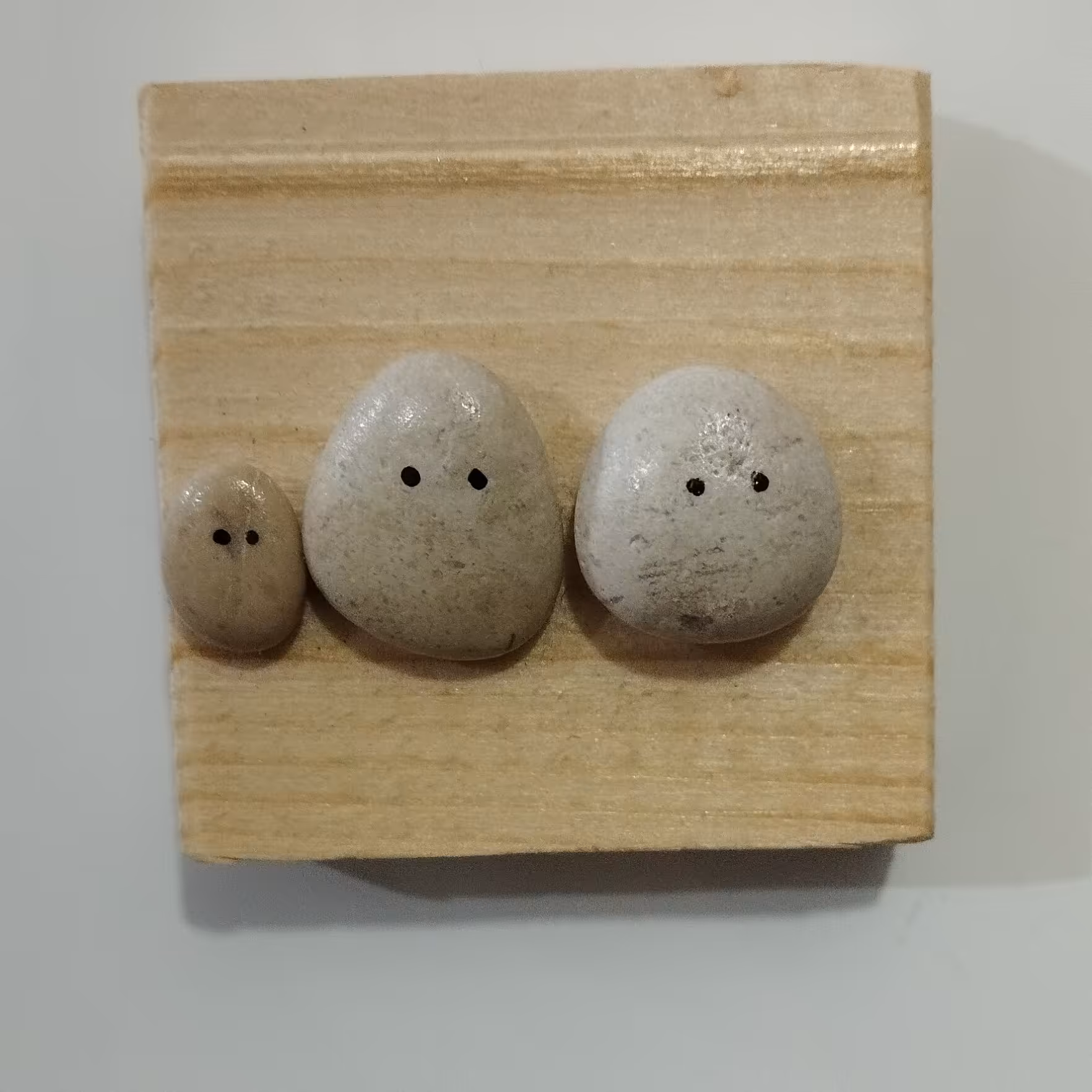 خانواده سنگی (مگنت)