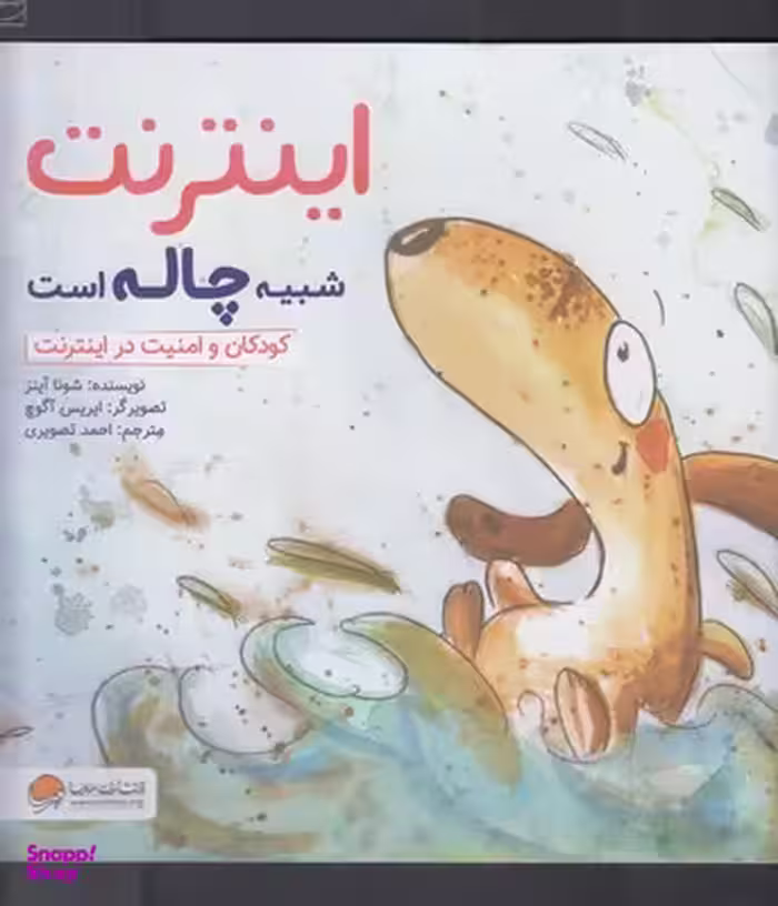 کتاب اینترنت شبیه چاله هست اثر شونا آینز انتشارات مهرسا