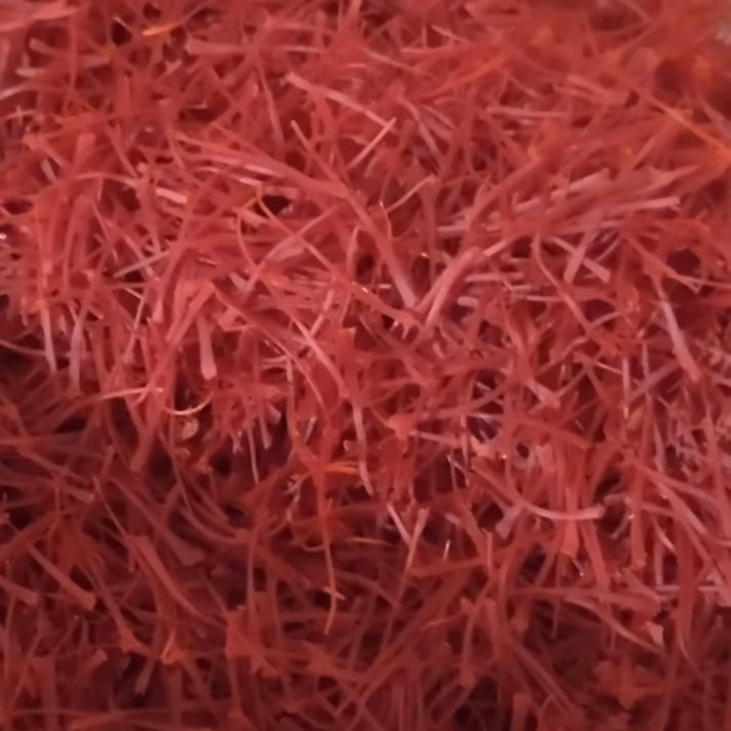 زعفران سوپر نگین اتویی 