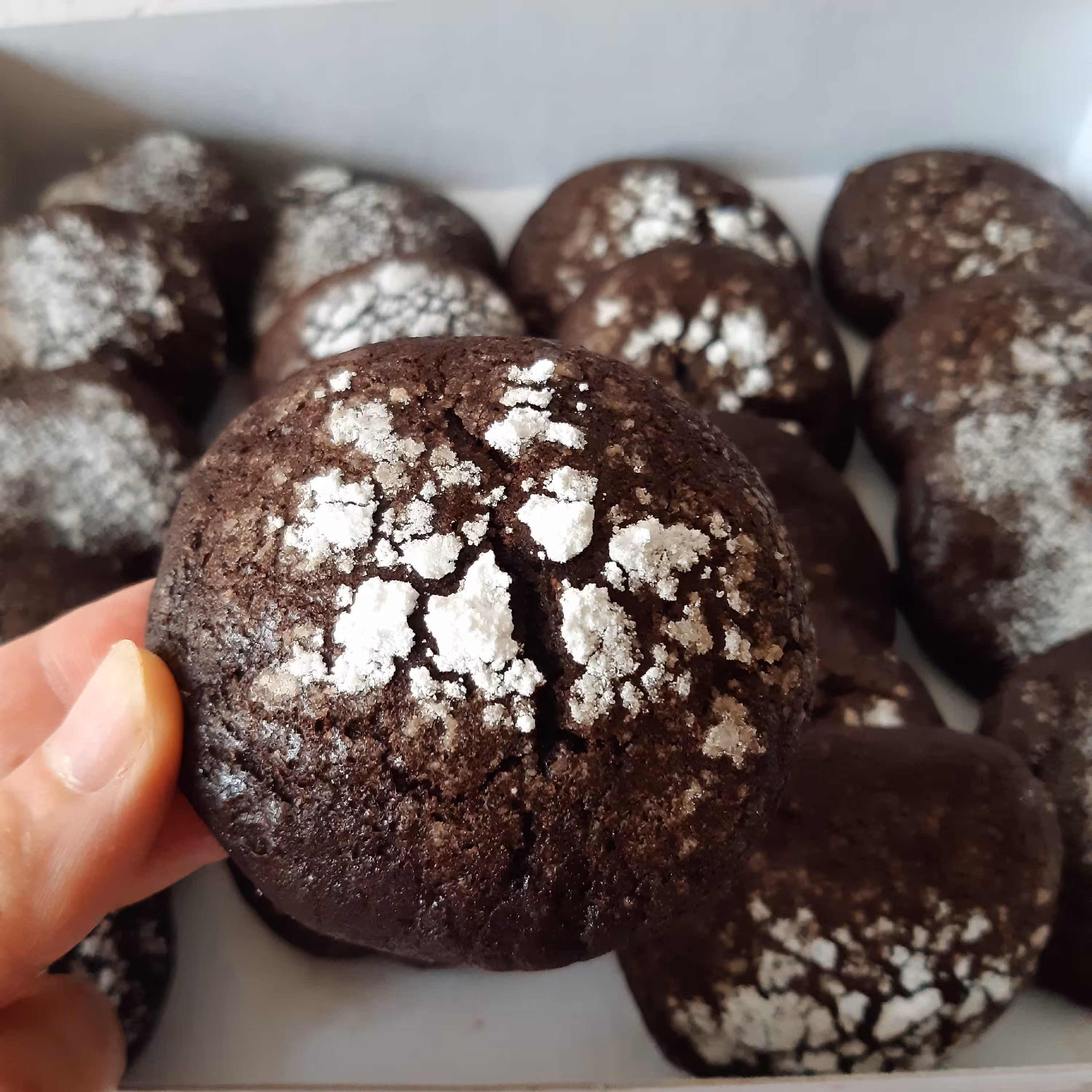 کوکی ترک شکلاتی کوکی کرینکل ارسال پس کرایه 