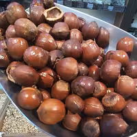 فندق بوداده 