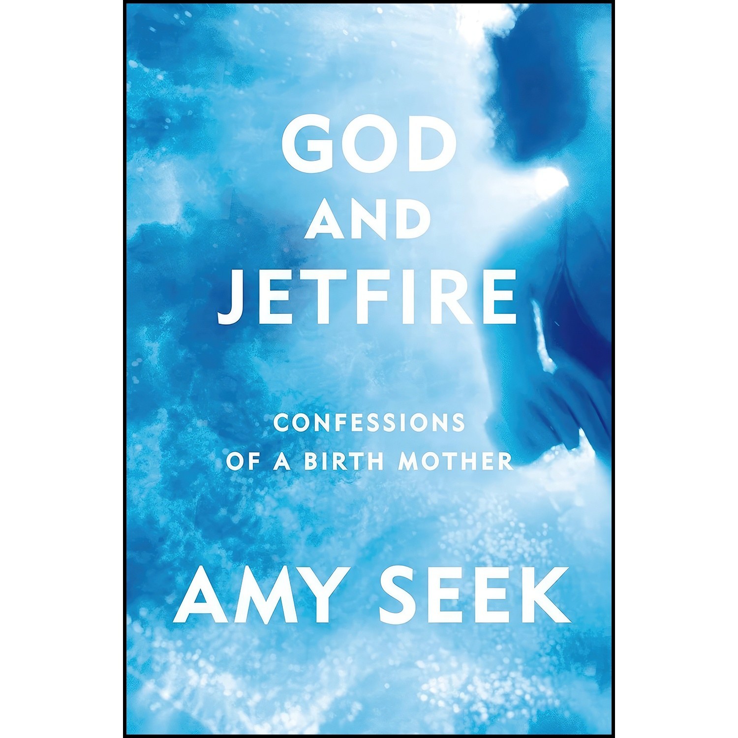 کتاب زبان اصلی God and Jetfire اثر Amy Seek