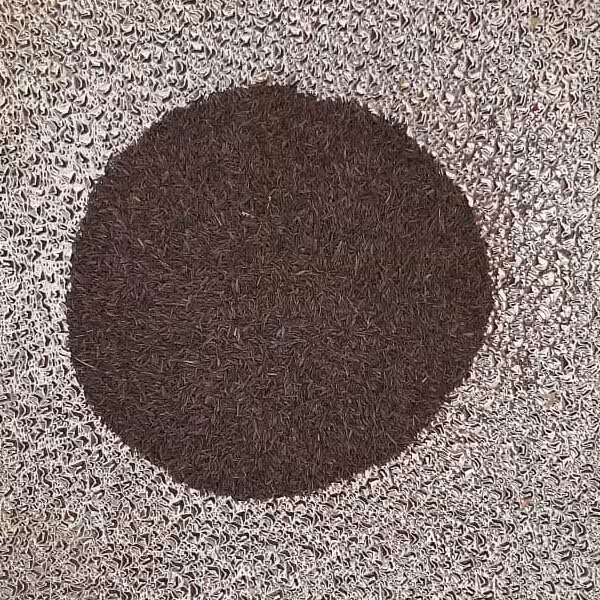 زیره سیاه کوهی کرمان (50 گرمی).(ارسال رایگان با حداقل سه بسته)