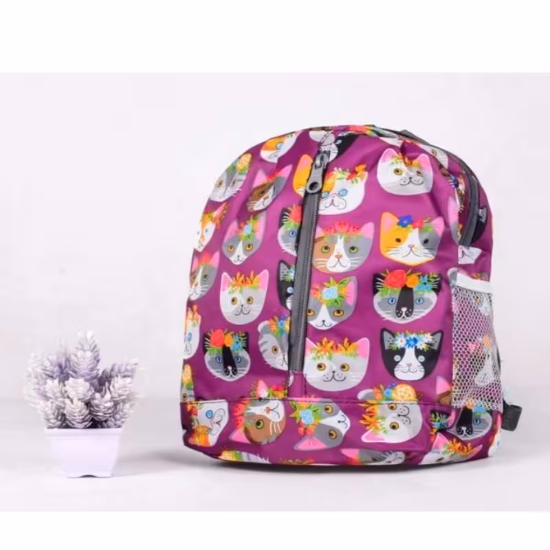 کوله پشتی مدرسه ای