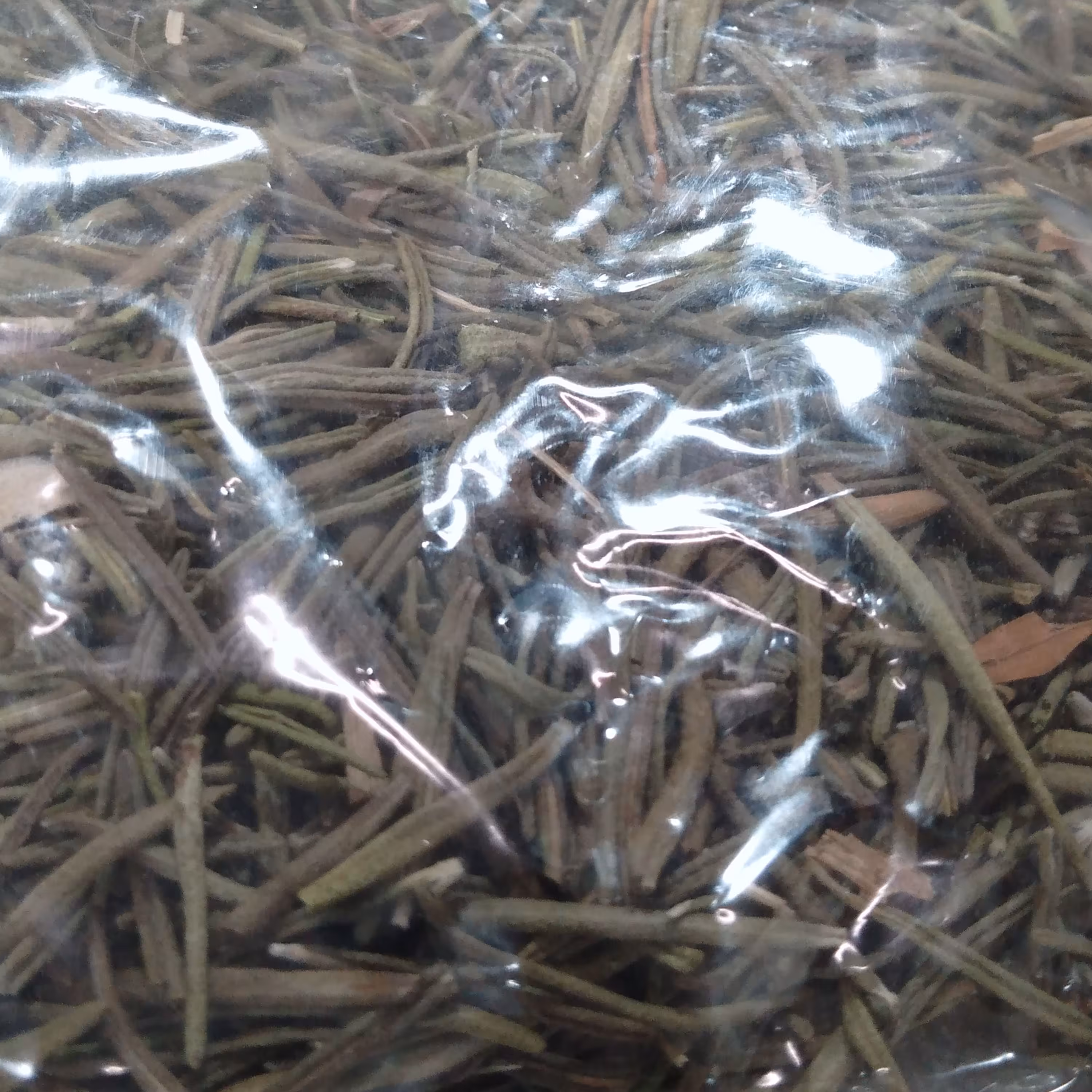 رزماری 50 گرمی