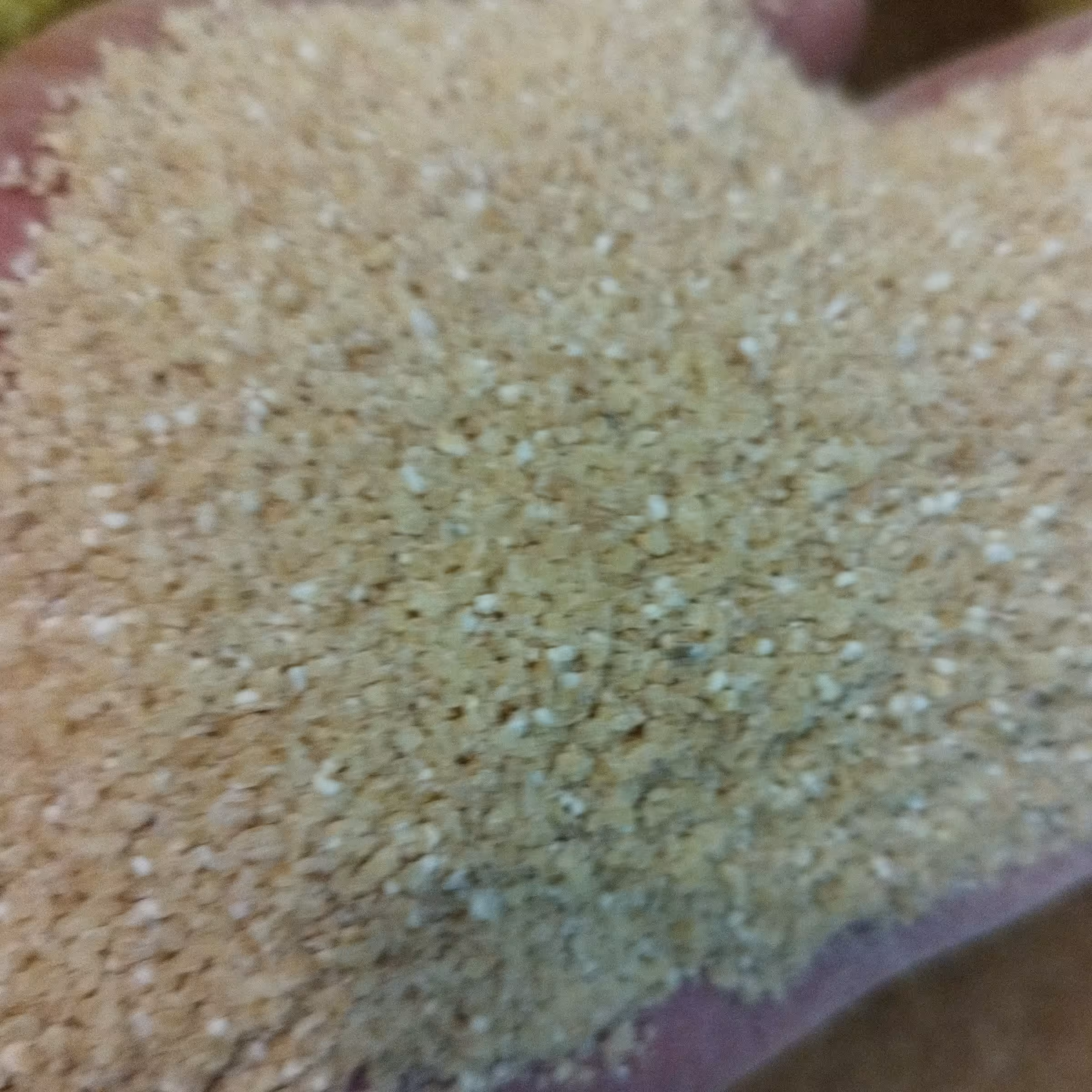 گمنه یابلغورگندم