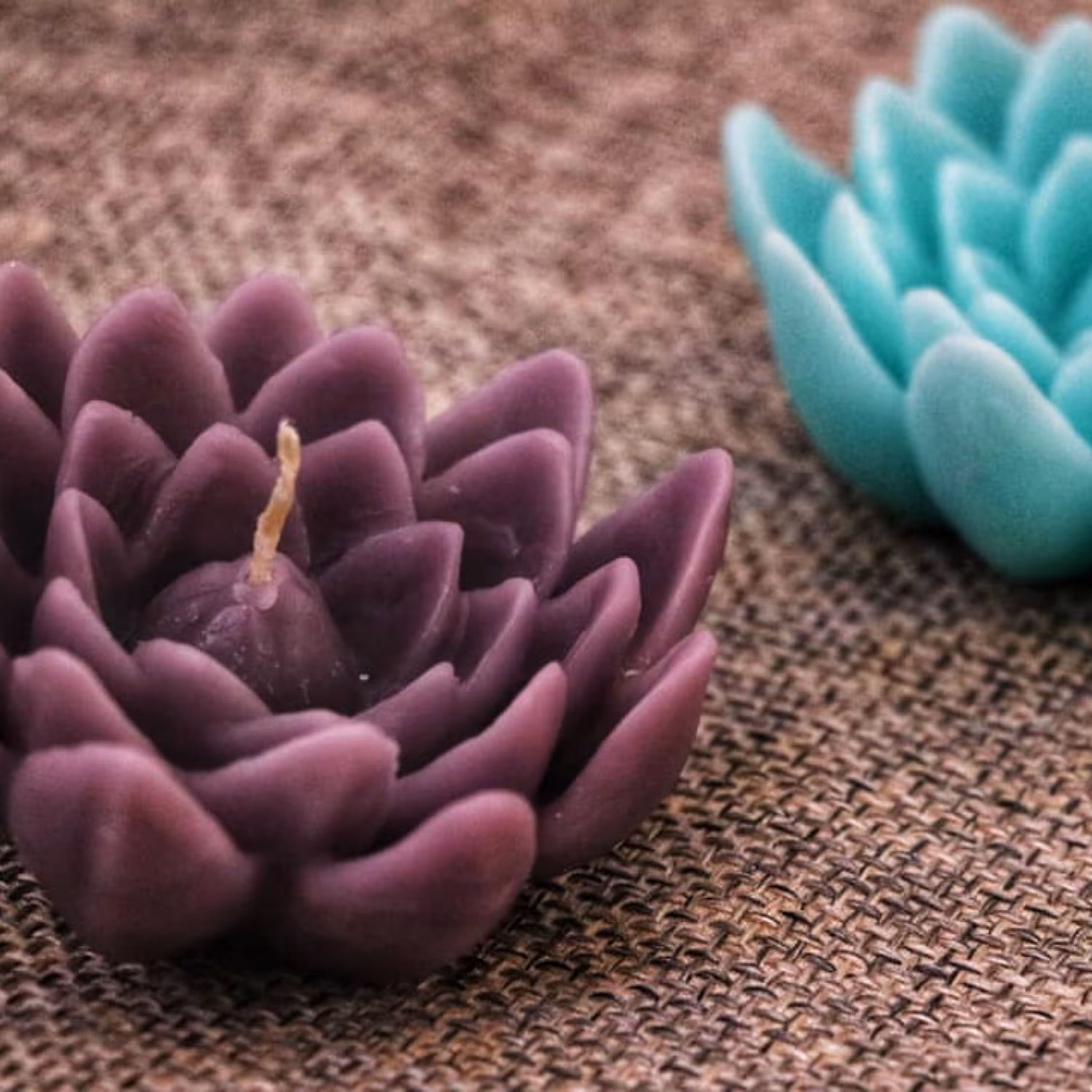 شمع طرح گل داوودی