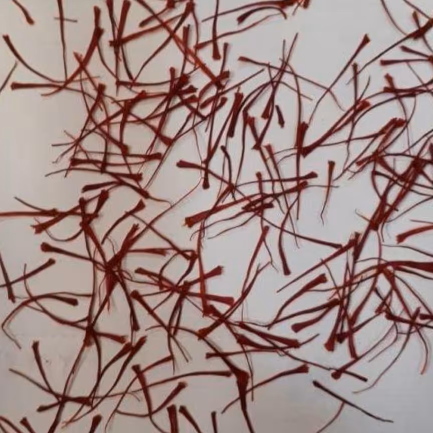 زعفران نگین صادراتی نیم مثقالی با عیار بالا و تضمین کیفیت از دست کشاورز به دست مشتری عزیز