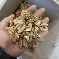 مغز گردو  پرچرب 1402  ایرانی محصول محلی کردستان  درجه یک  کارتن 10 کیلویی امسالی پر چرب