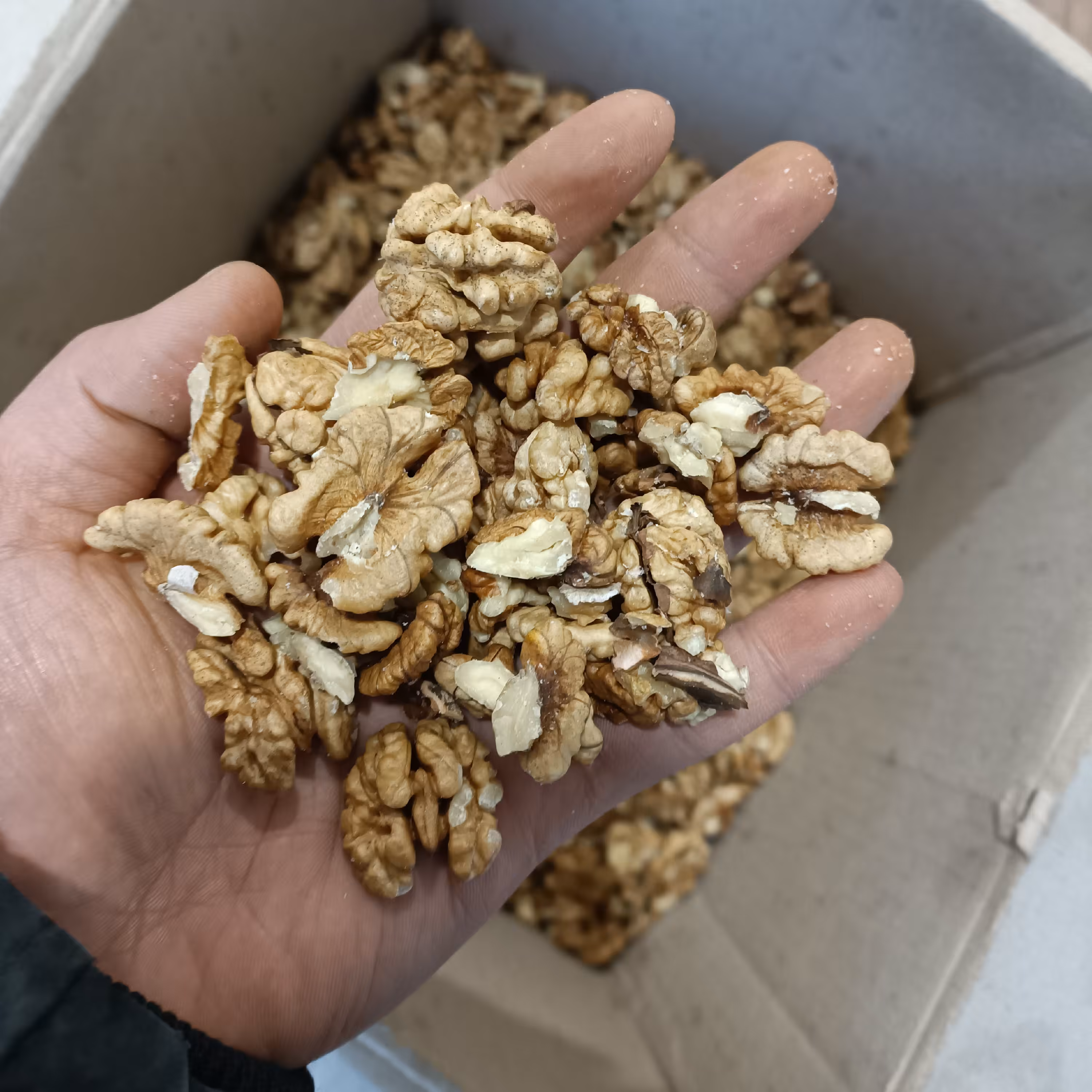 مغز گردو  پرچرب 1402  ایرانی محصول محلی کردستان  درجه یک  کارتن 10 کیلویی امسالی پر چرب