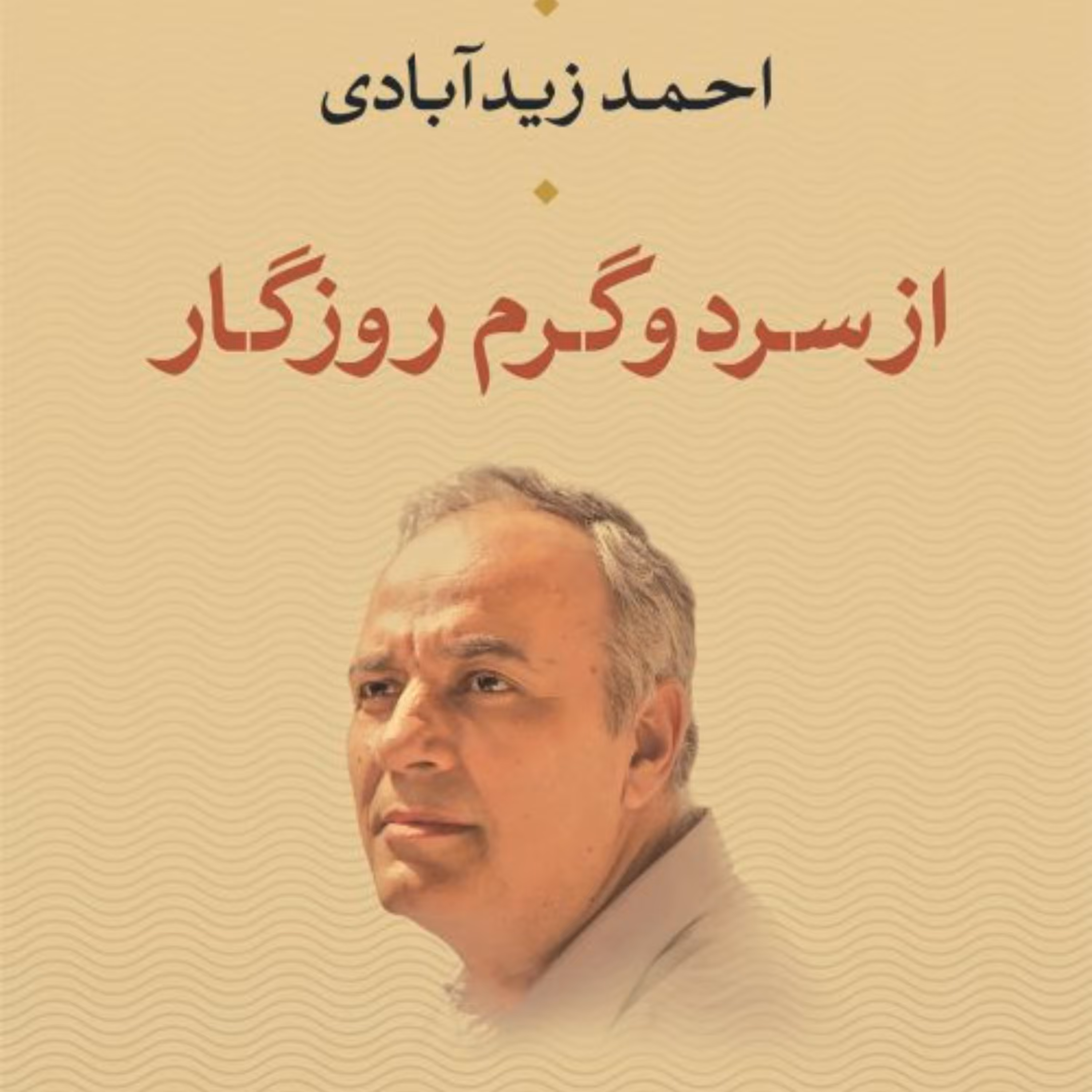 از سرد و گرم روزگار - احمد زیدآبادی - نشر نی
