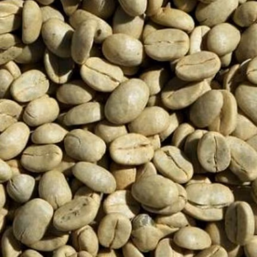 قهوه سبز  اعلا و تازه نیم کیلویی عطاری دستانی 