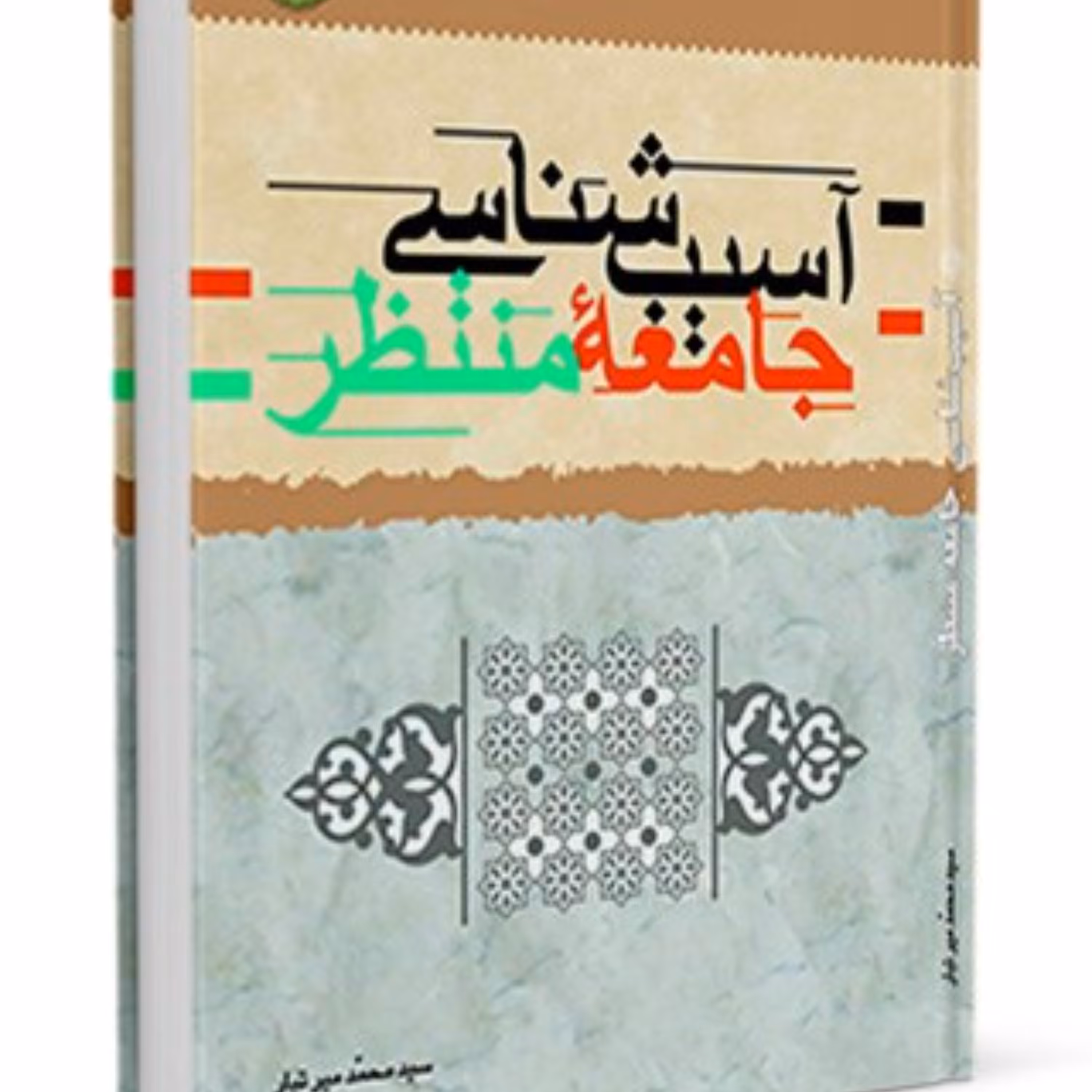 آسیب شناسی جامعه منتظر سید محمد میر تبار