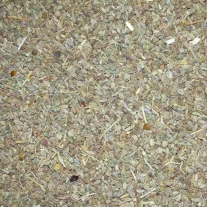 بذر  کرفس 100 گرمی