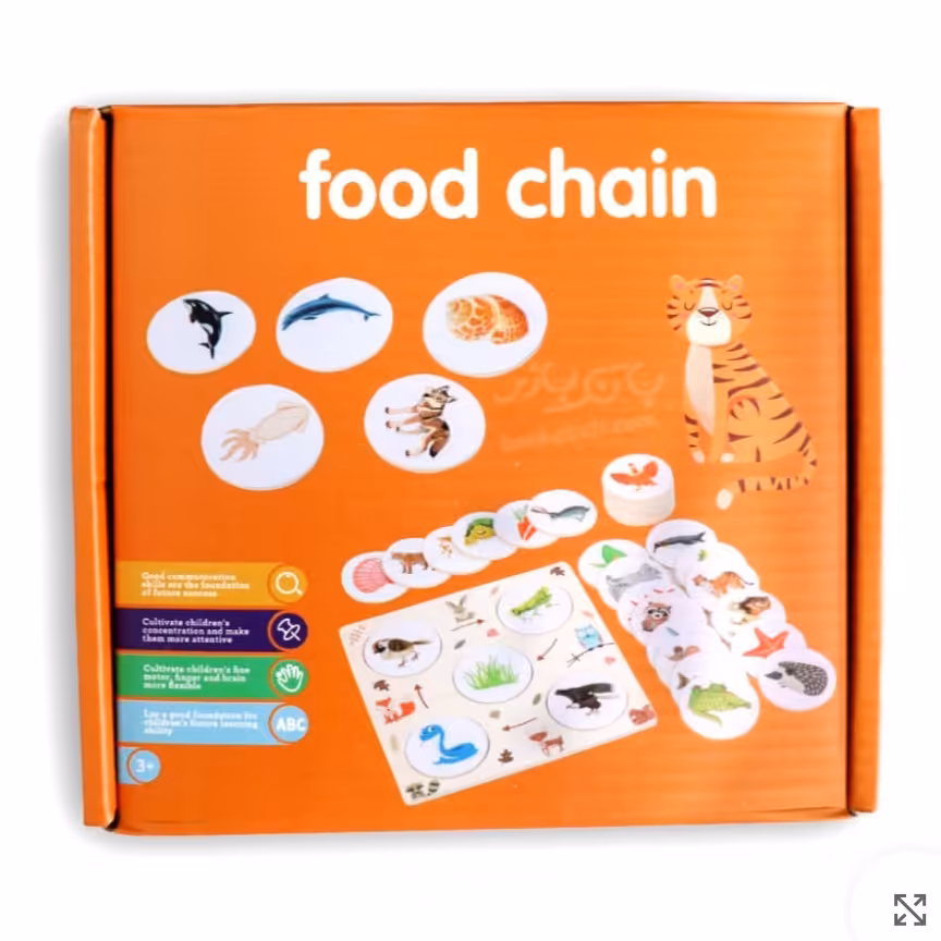 پازل چوبی زنجیره غذایی