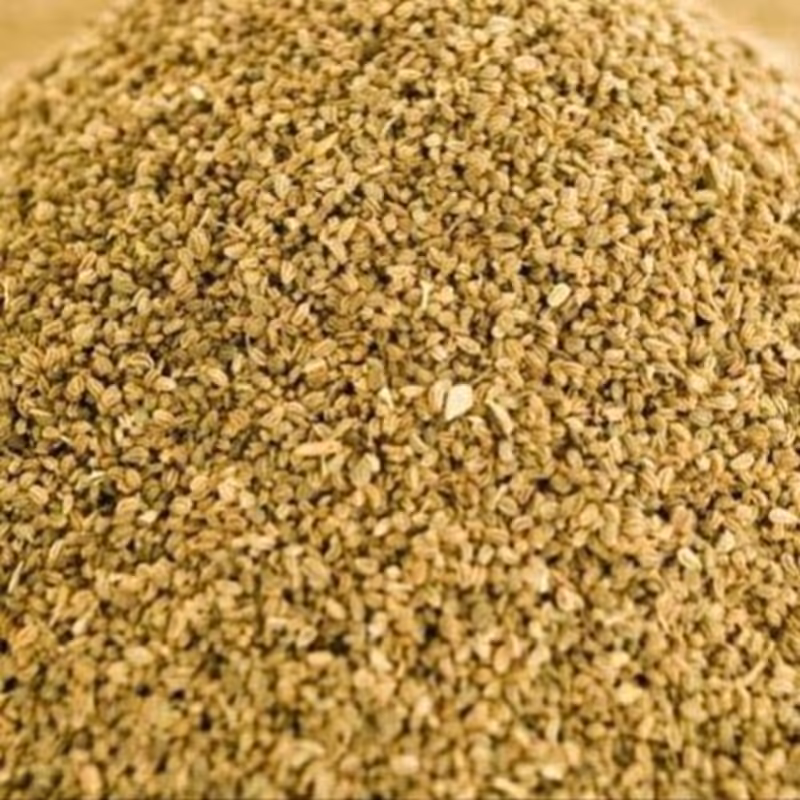 تخم کرفس (100 گرم)