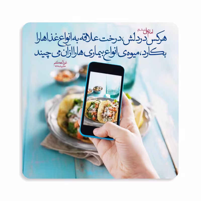 مگنت طرح حدیث تغذیه کد M108