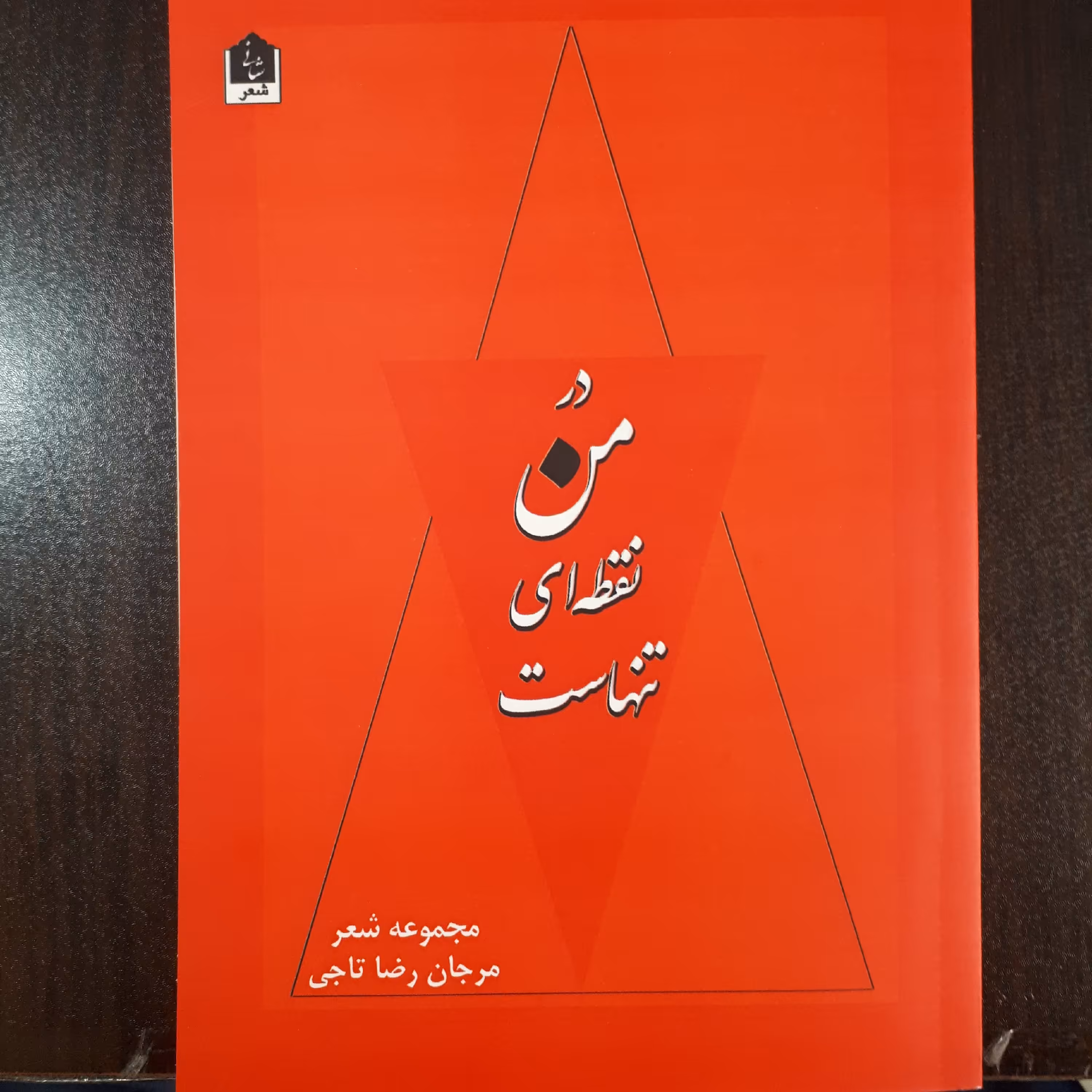 کتاب در من نقطه ای تنهاست (مجموعه شعر)