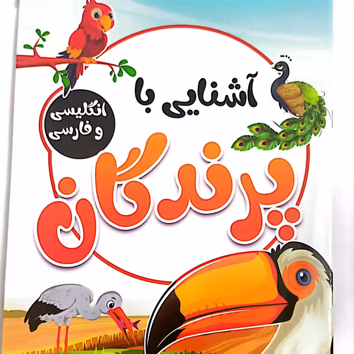 کتاب کودک آشنایی با پرندگان فارسی و انگلیسی 
