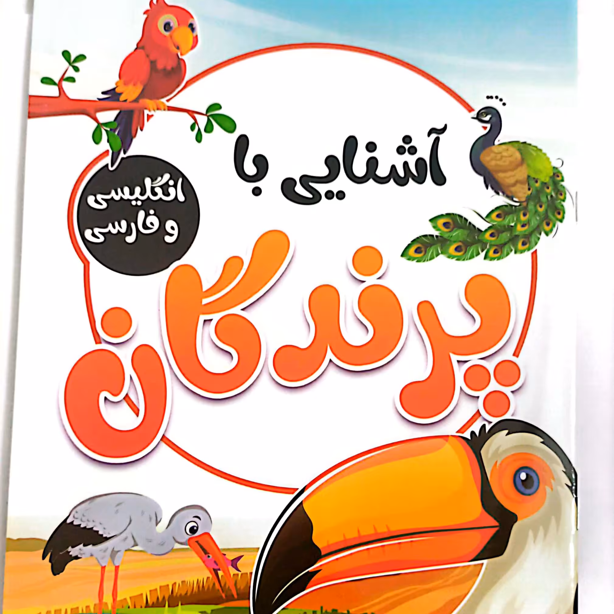 کتاب کودک آشنایی با پرندگان فارسی و انگلیسی