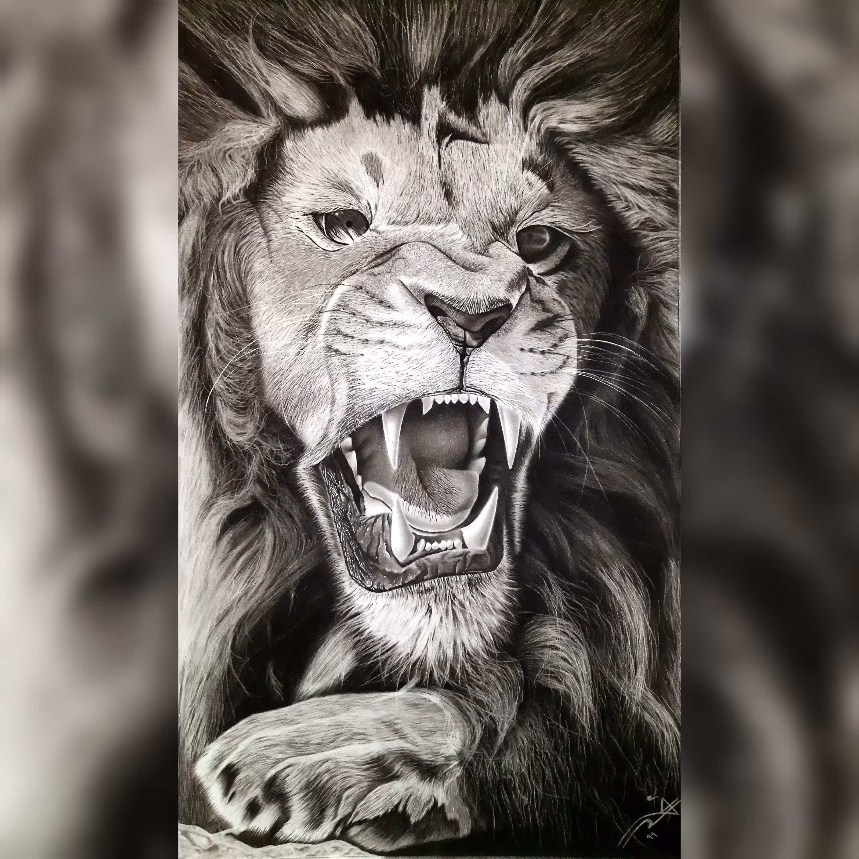 تابلو نقاشی سیاه قلم طرح شیر