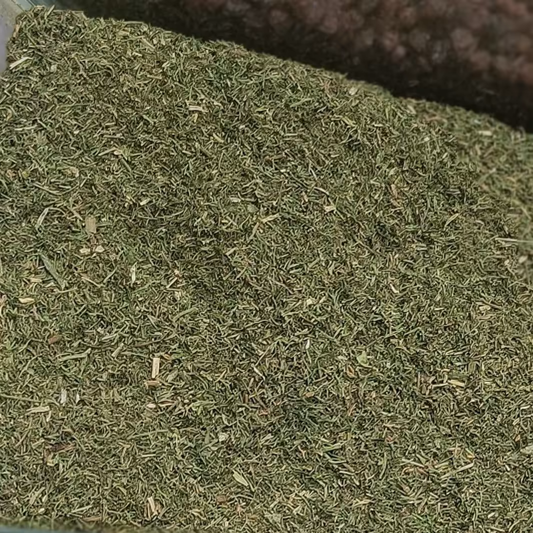 شوید درجه1 امسالی