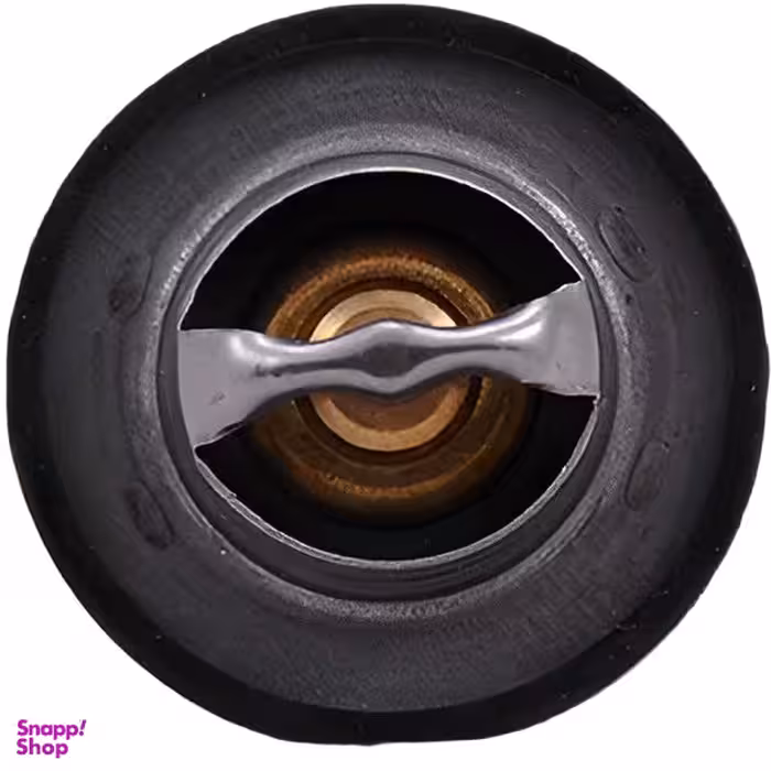 ترموستات 75 درجه جی آی اس پی کد 476902 مناسب برای پژو 405