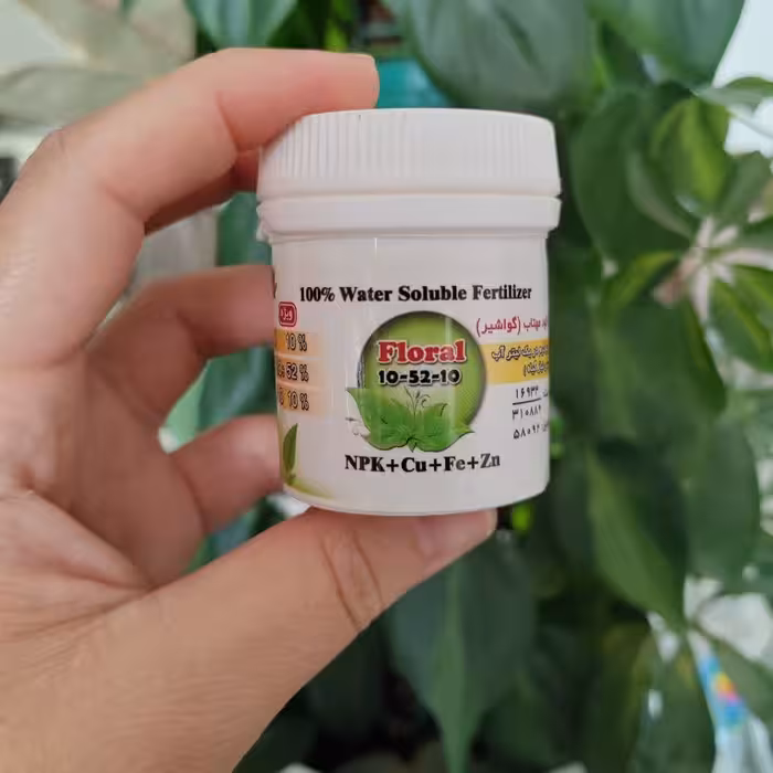 کود 105210 ریشه زایی قوطی کوچک کیمیا کود گواشیر کرمان 