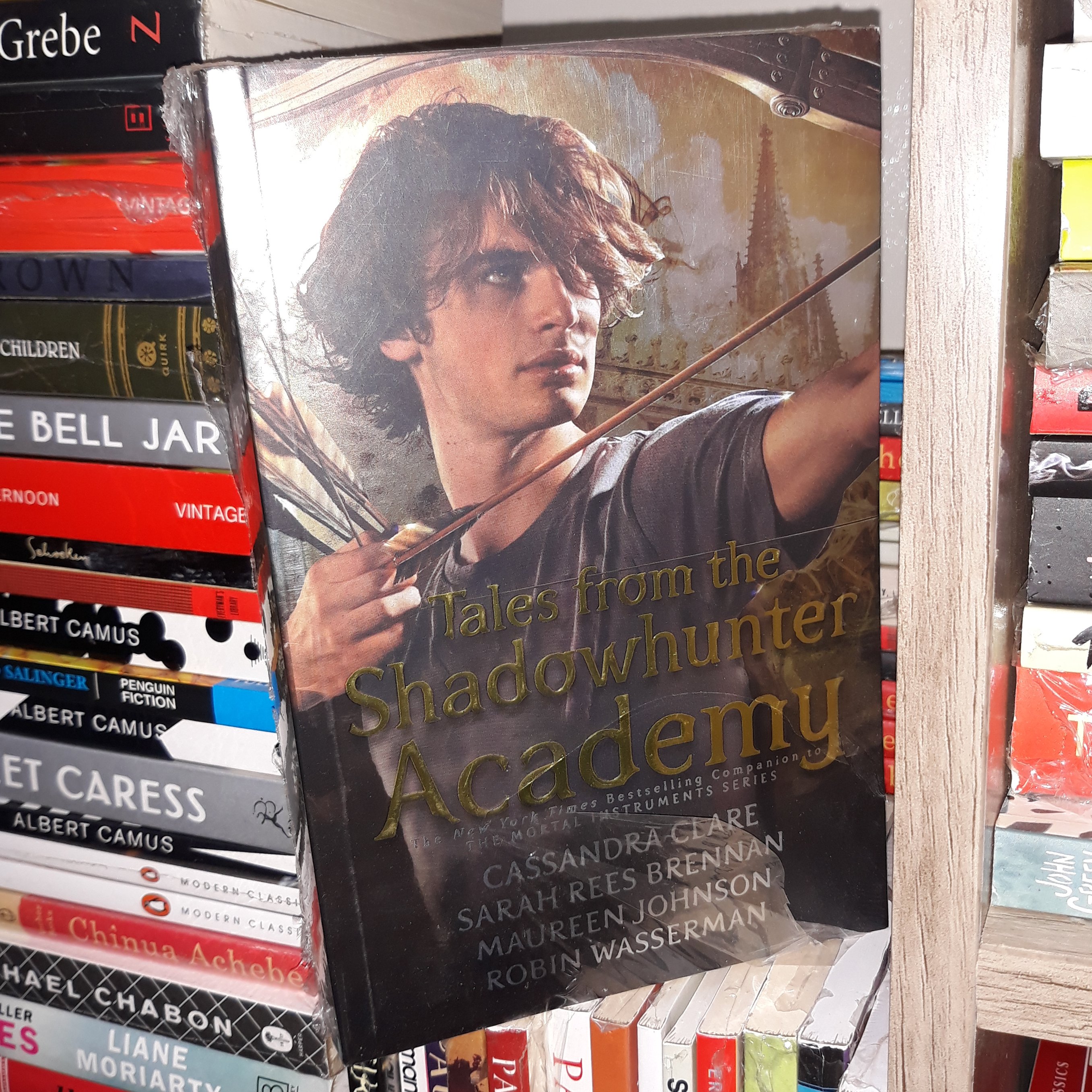 کتاب زبان اصلی Tales From the Shadowhunter Academy (شکارچی سایه)