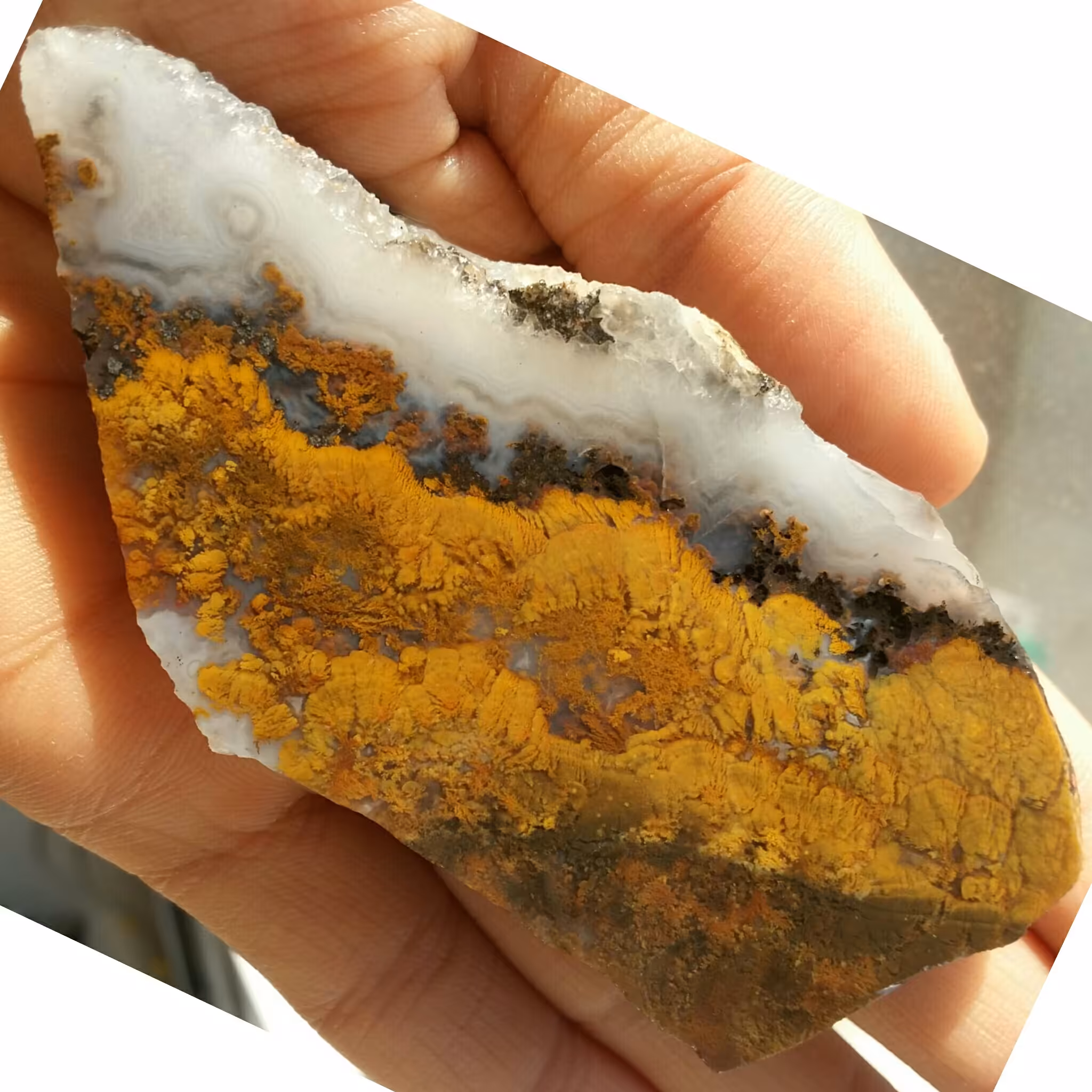 اسلایس سنگ راف شجر منظره کویری محشر شااهکار خلقت 100 در 100 طبیعی تکرار نشدنی