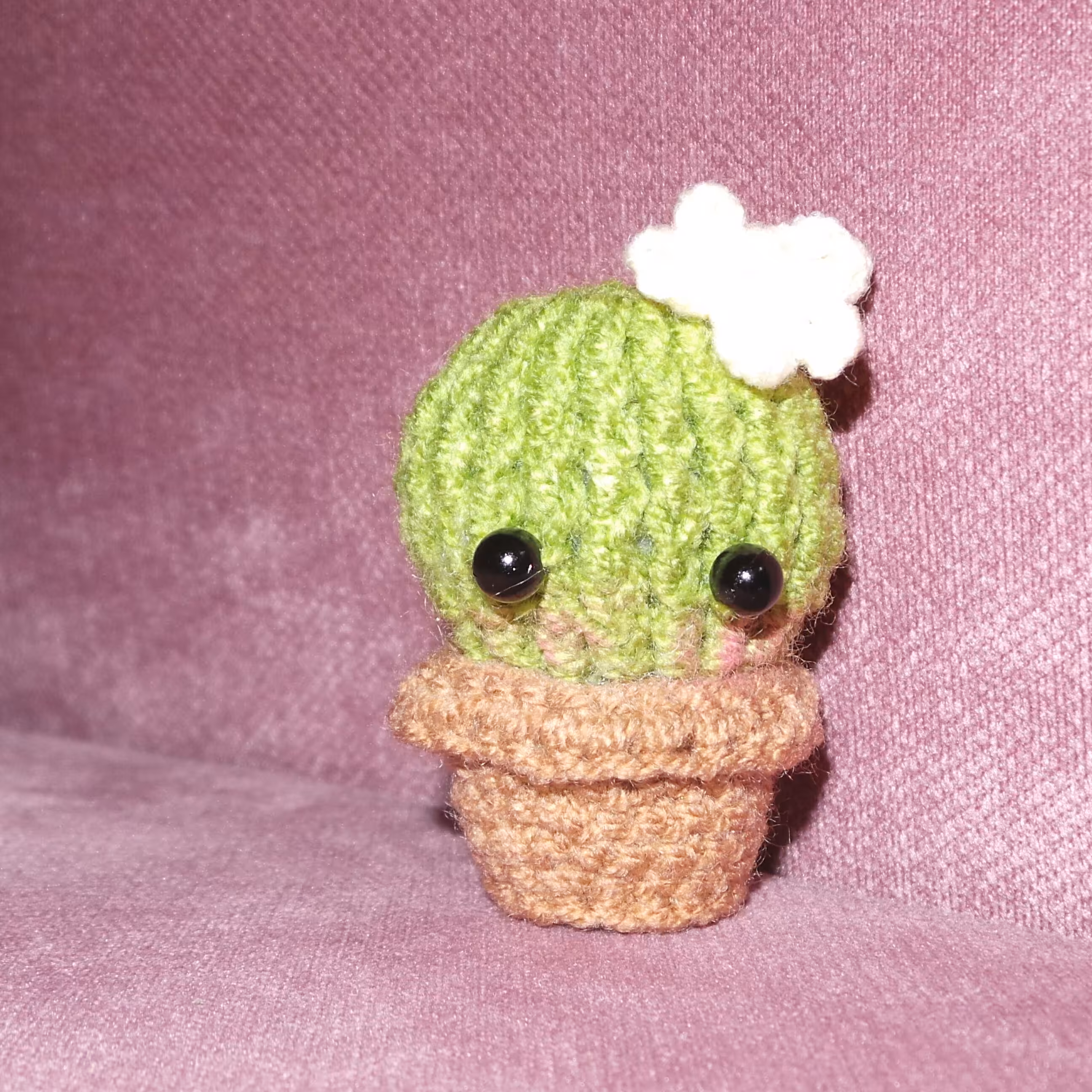 کاکتوس مینیاتوری بافتنی