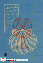 قیمت و خرید کتاب نام سومین خواهر بی بی راز است | ایده بوک