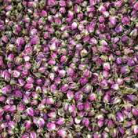 غنچه گل محمدی درجه یک